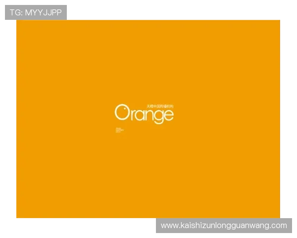 尊龙集团登录入口网站官网最新官方入口地址及使用指南